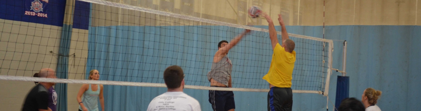 Concord Volleyball Leagues